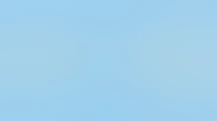 Fresh vs frozen vs canned