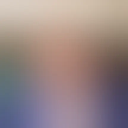 Advis Brd Paul Jenkins