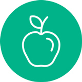 Apple icon