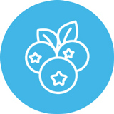 Berries icon