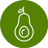 Avocado icon