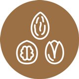Nuts icon