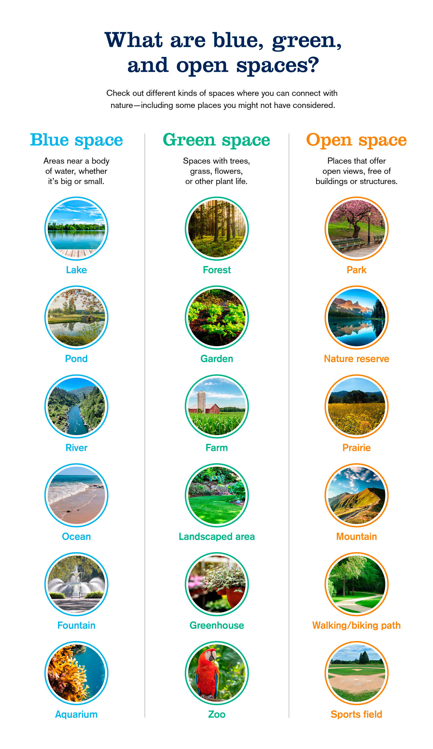 Get the Benefits of Nature Wherever You Are Download