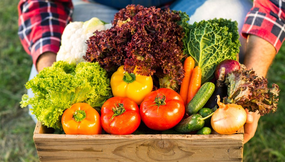 A bountiful of with vibrant, colorful veggies.