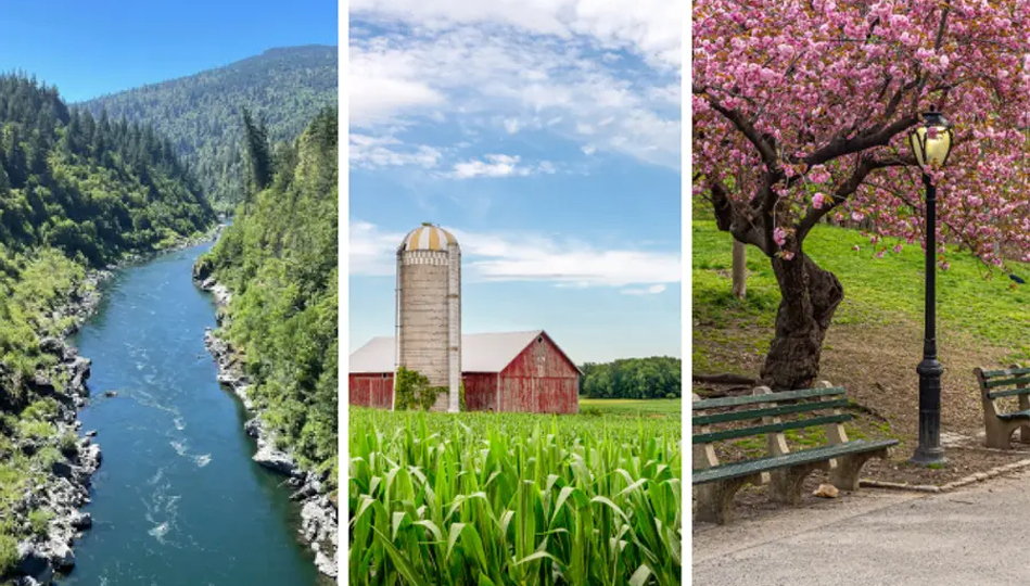 Get the Benefits of Nature Wherever You Are Hdr