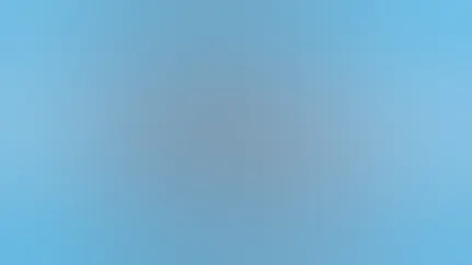 The 3 bears from the Goldilocks nursery rhyme.