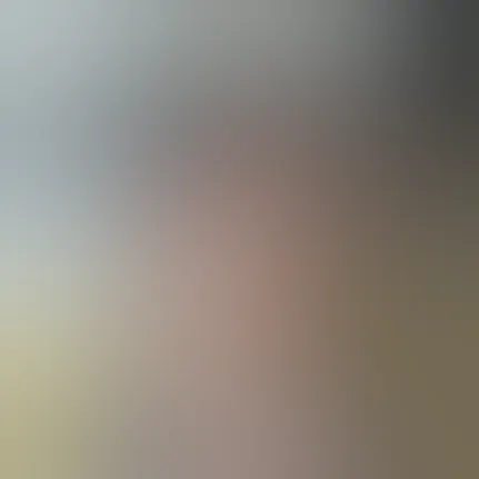 Leadership Leslie Helou