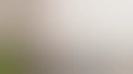 This blog explains the differences between generic and brand-name medications, including safety, effectiveness, and cost considerations.