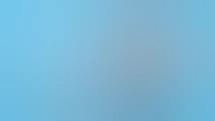 Participant Storybook Hdr