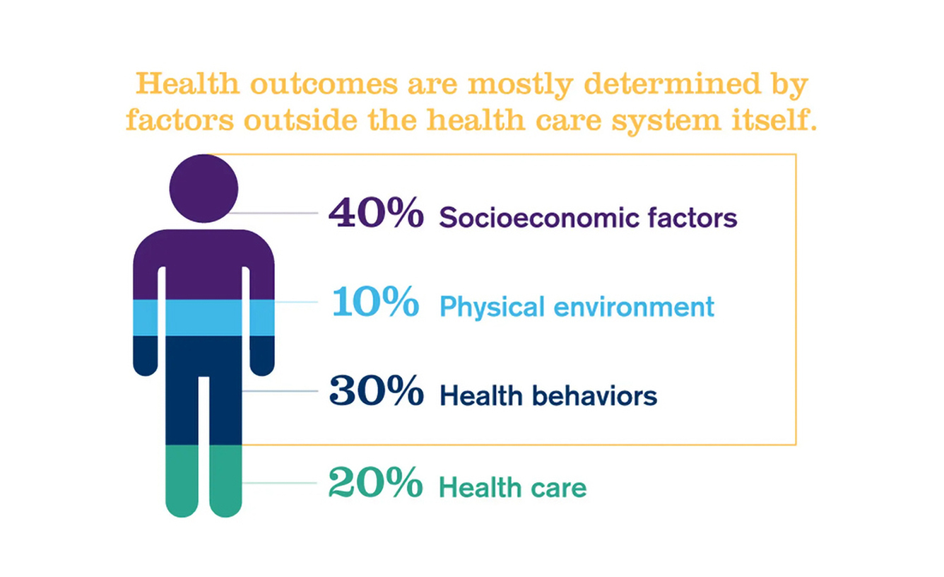 Social Determinants of Health Anjoli Inset1b