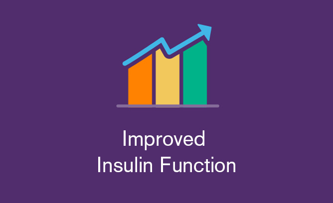 Improved Insulin Function