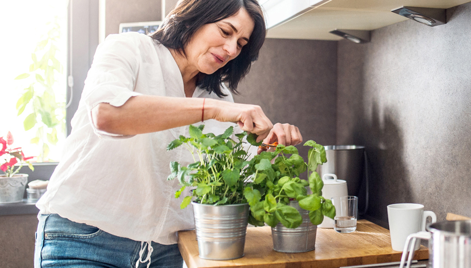 Why and How to Start a Kitchen Herb Garden Hdr