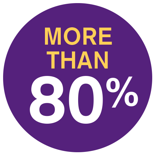 More than 80 percent icon2